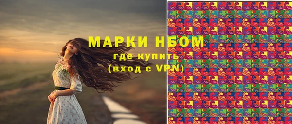 СК Алексин