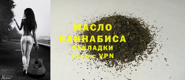СК Алексин