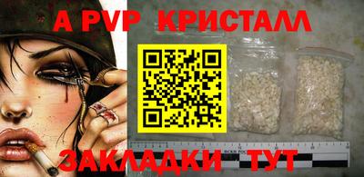 a pvp Новозыбков