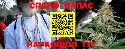 дурь Новодвинск